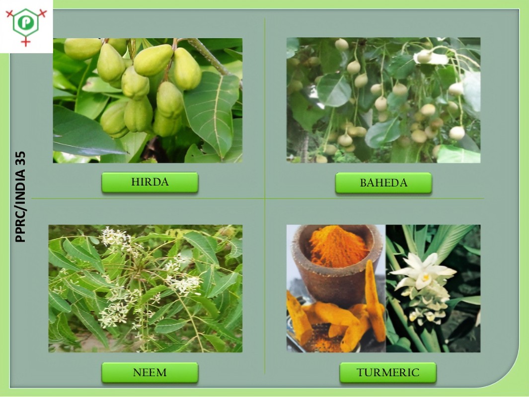 Medicinal Plants